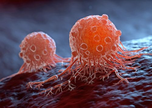 Indagan el origen del cáncer en células troncales