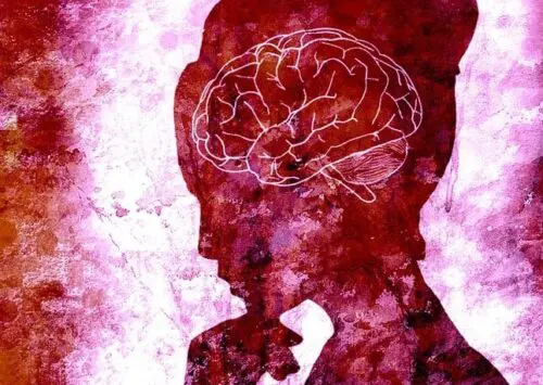Más de la mitad de las mujeres padecerá una enfermedad neurológica a lo largo de su vida