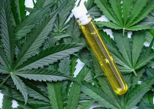 Productos a base de CBD ¿son realmente eficaces?